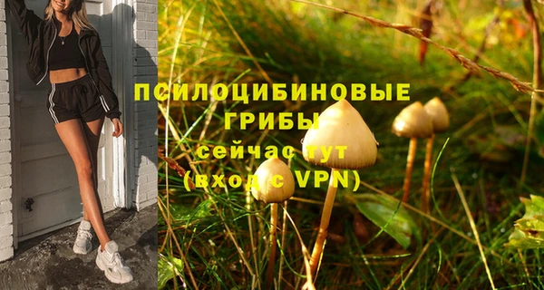 молекула духа Мегион