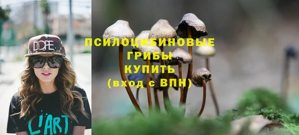 первитин Медвежьегорск