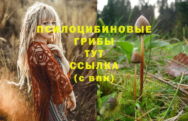 первитин Медногорск
