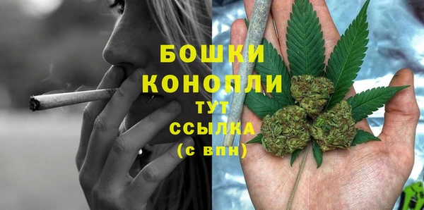 молекула духа Мегион