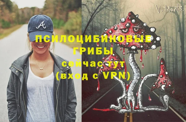 первитин Медногорск
