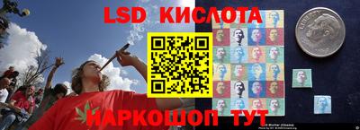 гидропоника Ливны