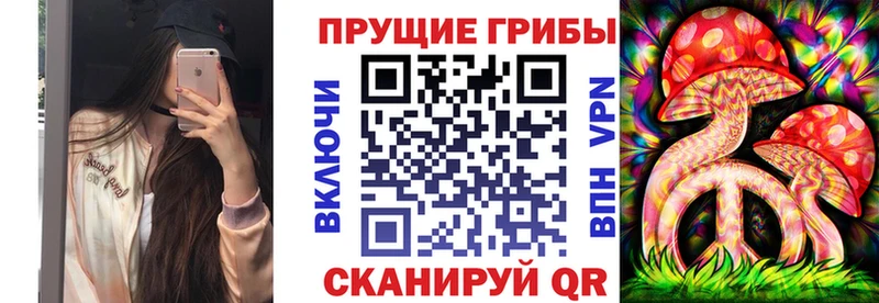 Псилоцибиновые грибы GOLDEN TEACHER  где купить наркоту  Юрга 