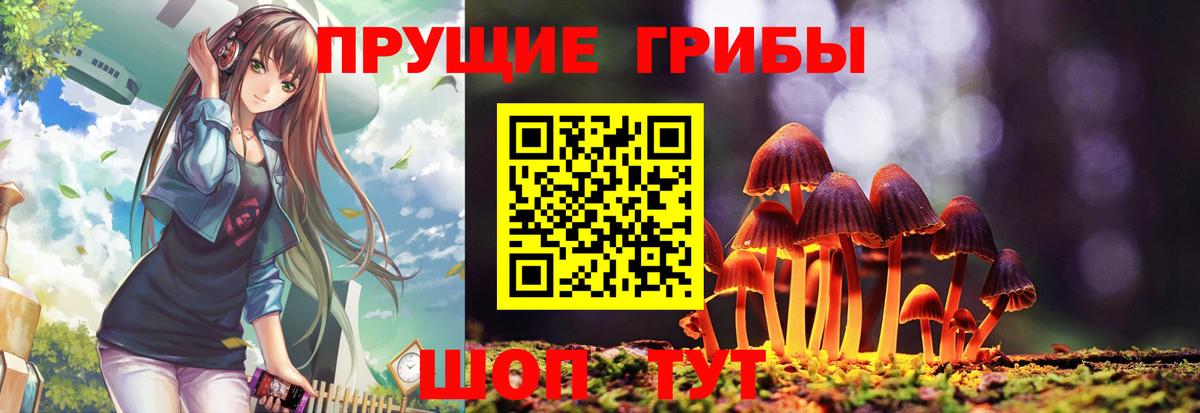 Псилоцибиновые грибы MAGIC MUSHROOMS  Вход с VPN  Юрга 